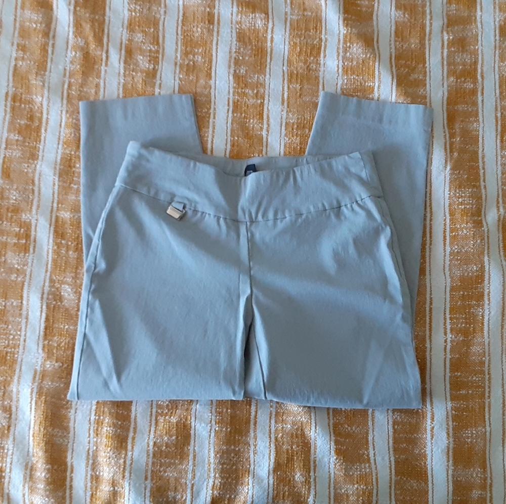 Alfani thigh pants